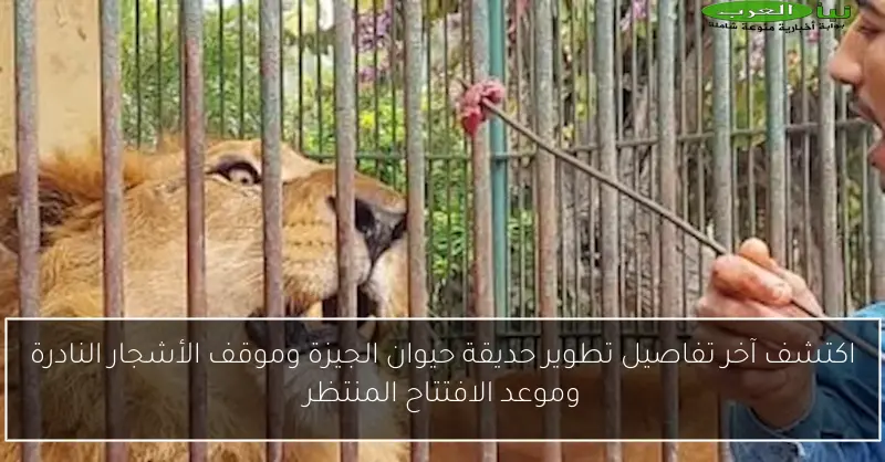 اكتشف آخر تفاصيل تطوير حديقة حيوان الجيزة وموقف الأشجار النادرة وموعد الافتتاح المنتظر