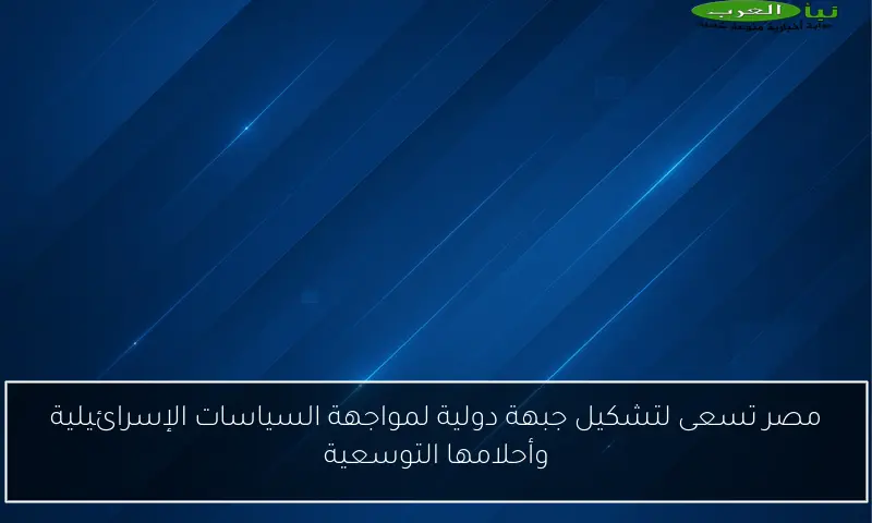 مصر تسعى لتشكيل جبهة دولية لمواجهة السياسات الإسرائيلية وأحلامها التوسعية