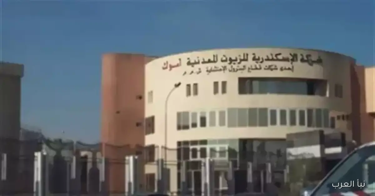 انخفاض أرباح شركة أموك بنسبة 4% خلال التسعة أشهر الأولى من 2025