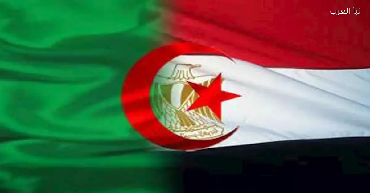 مصر والجزائر تتعاونان لتصدير المعدات إلى غرب أفريقيا