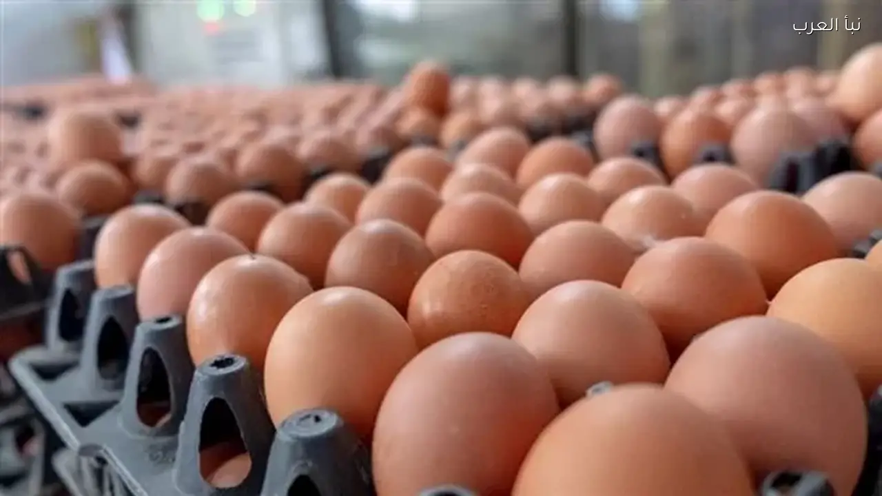 انخفاض أسعار البيض في الأسواق اليوم الأحد
