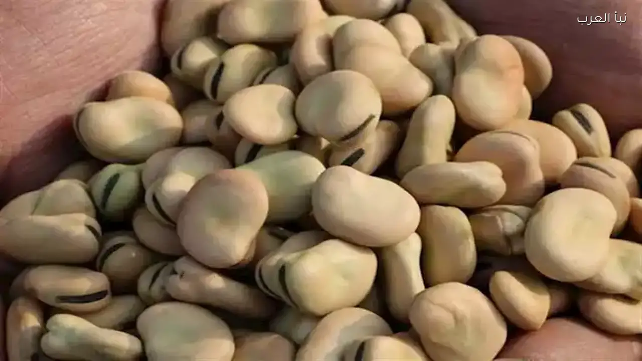 أسعار الفول والدقيق والزيت واللحوم ترتفع اليوم السبت