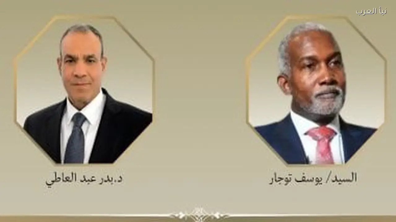 مصر ونيجيريا تبحثان تعزيز العلاقات الثنائية في إفريقيا