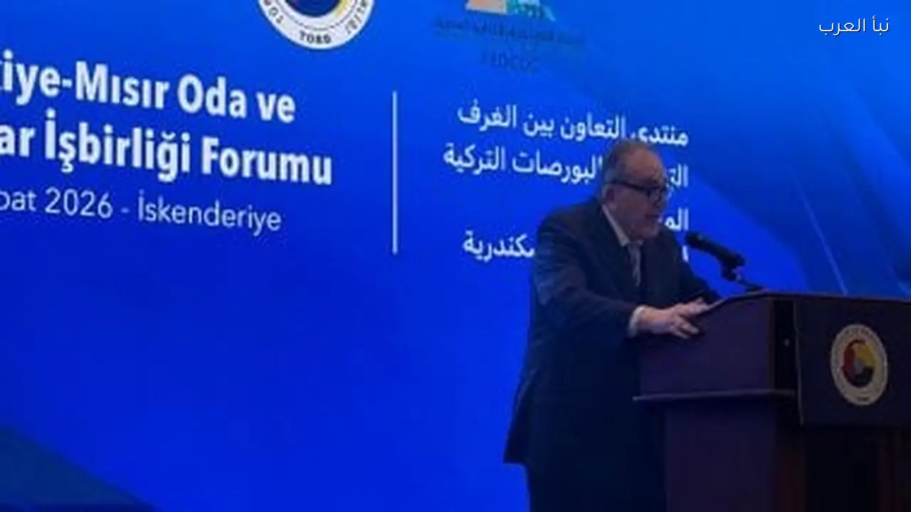 أحمد الوكيل: استثمارات الشركات المصرية في الخليج وإفريقيا تبلغ 13 مليار دولار