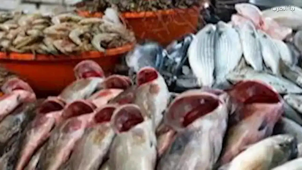 أسعار الأسماك ترتفع في سوق العبور اليوم بما في ذلك البلطي