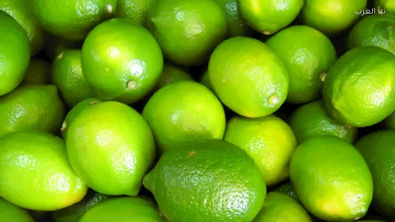 أسعار الخضروات والفاكهة في سوق العبور تتراجع مع انخفاض الليمون