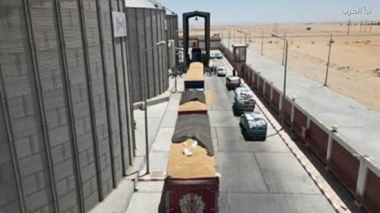 المركزى للمحاسبات: أرباح مطاحن الدلتا من فوائد البنوك تفوق إنتاج الدقيق