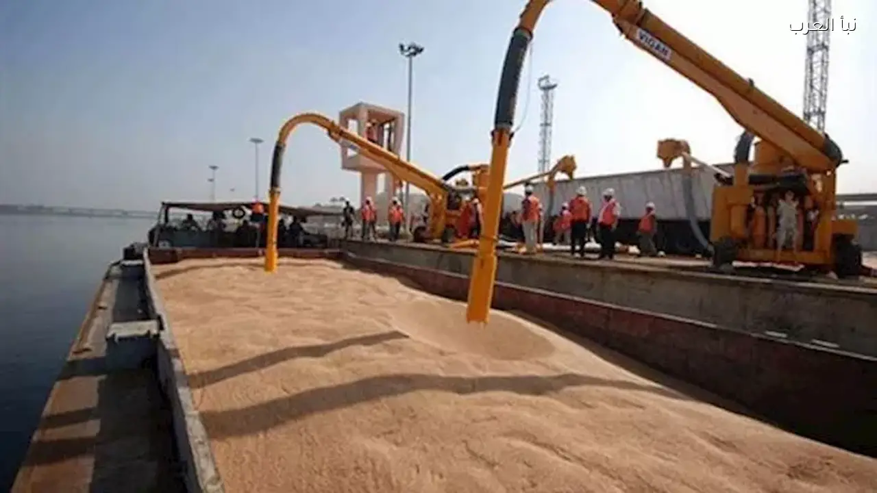 خبير اقتصادي يكشف استراتيجية مصر في استيراد القمح