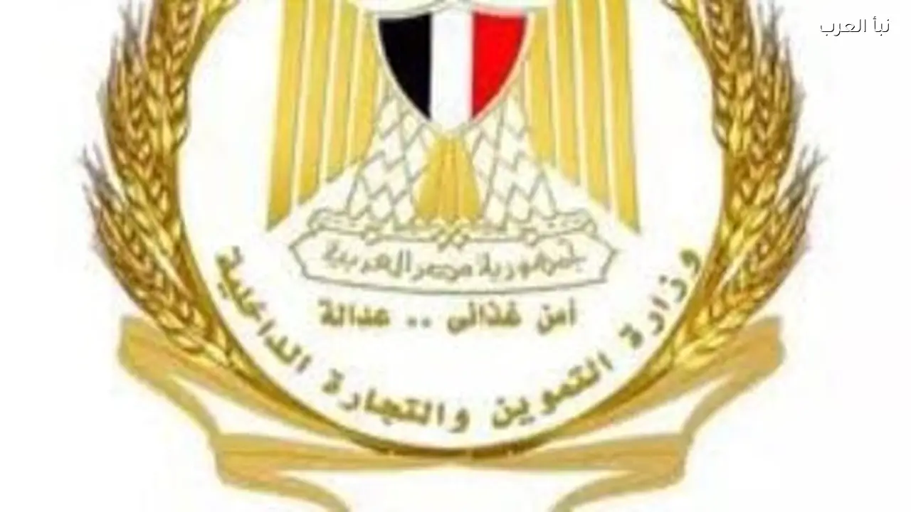 كراتين رمضان 2026 بأسعار متنوعة وكوبونات دعم للأسر المحتاجة