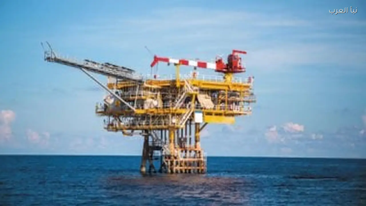 هيئة البترول تكشف نتائج الرقابة على توزيع الوقود