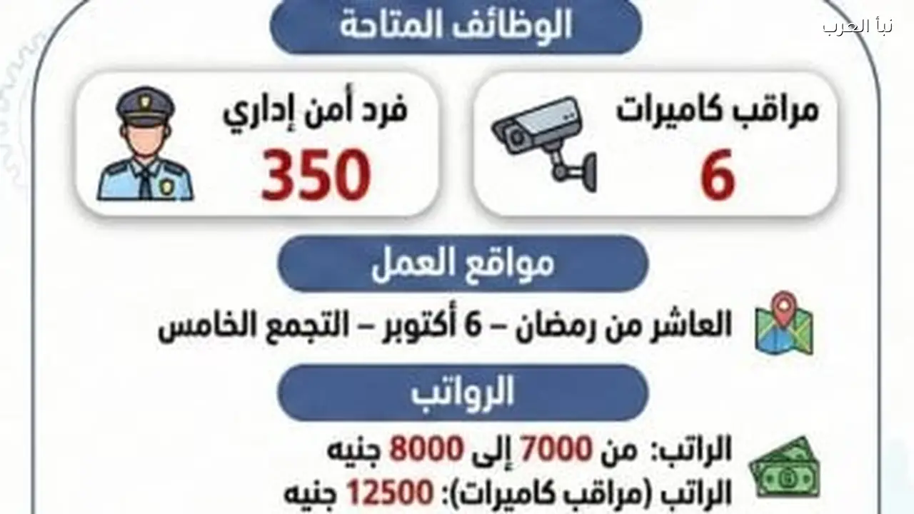 وزارة العمل تعلن عن 356 وظيفة شاغرة برواتب تصل إلى 12500 جنيه