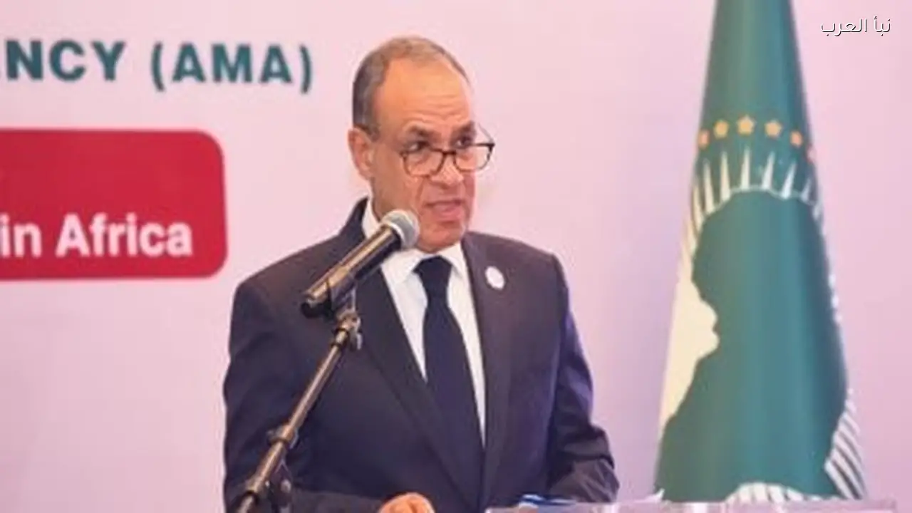 وزير الخارجية يشارك في مائدة مستديرة عن التصنيع المحلي بأفريقيا