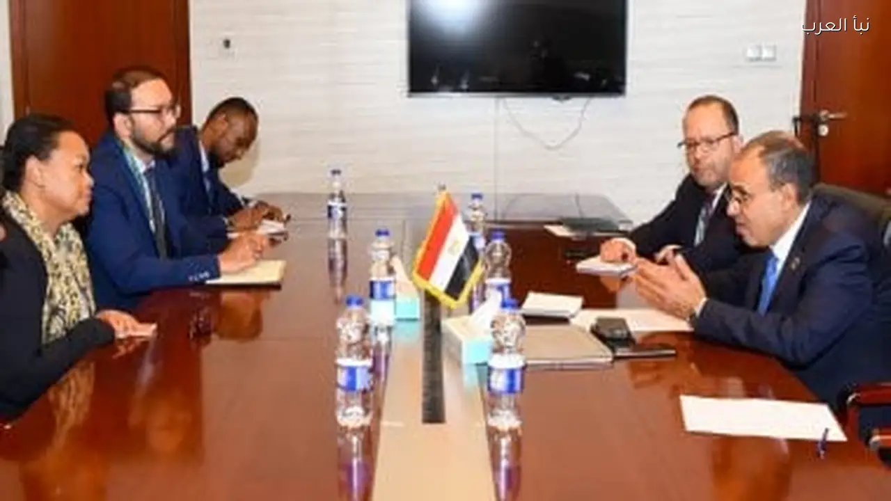 وزير الخارجية يناقش مع مديرة الآلية الأفريقية دعم الإصلاح المؤسسي