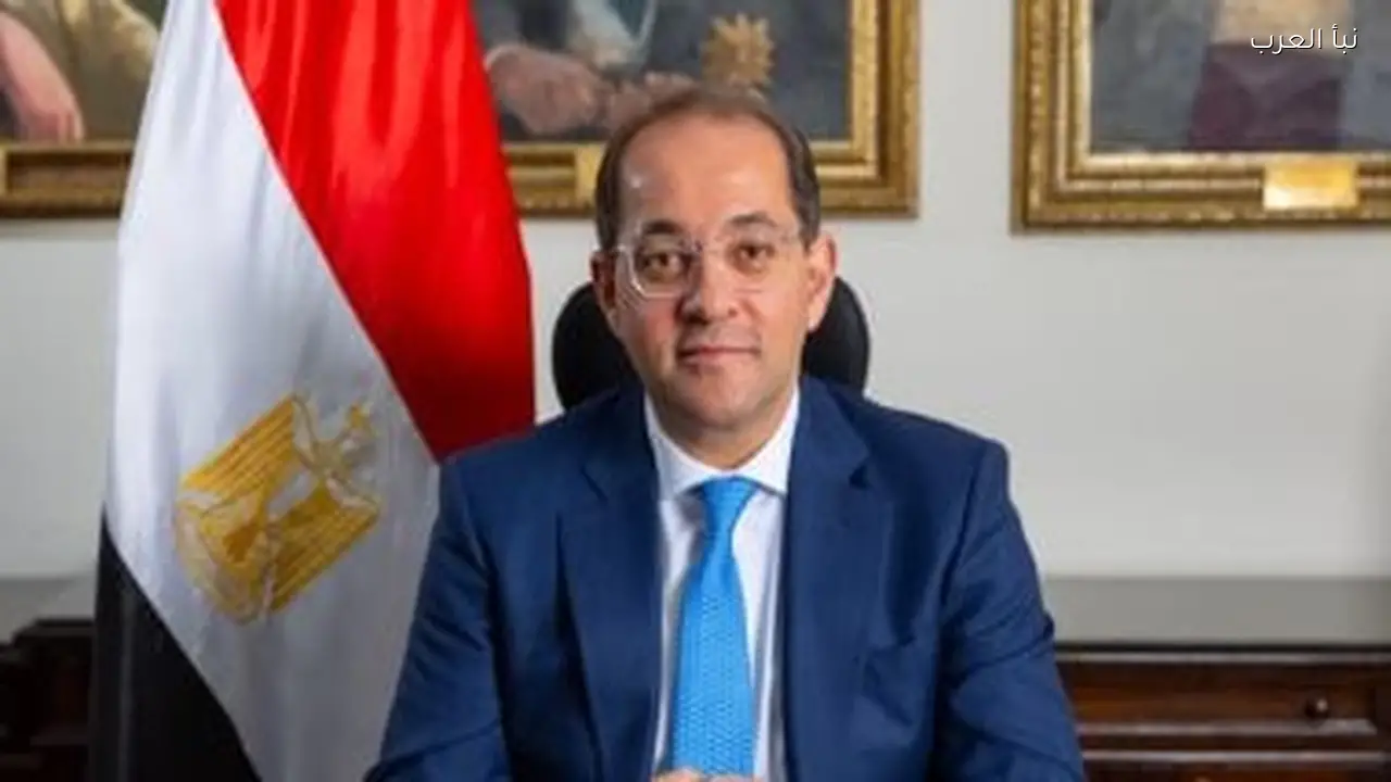 وزير المالية: التنوع الاقتصادي في مصر وتركيا يسهم في التكامل