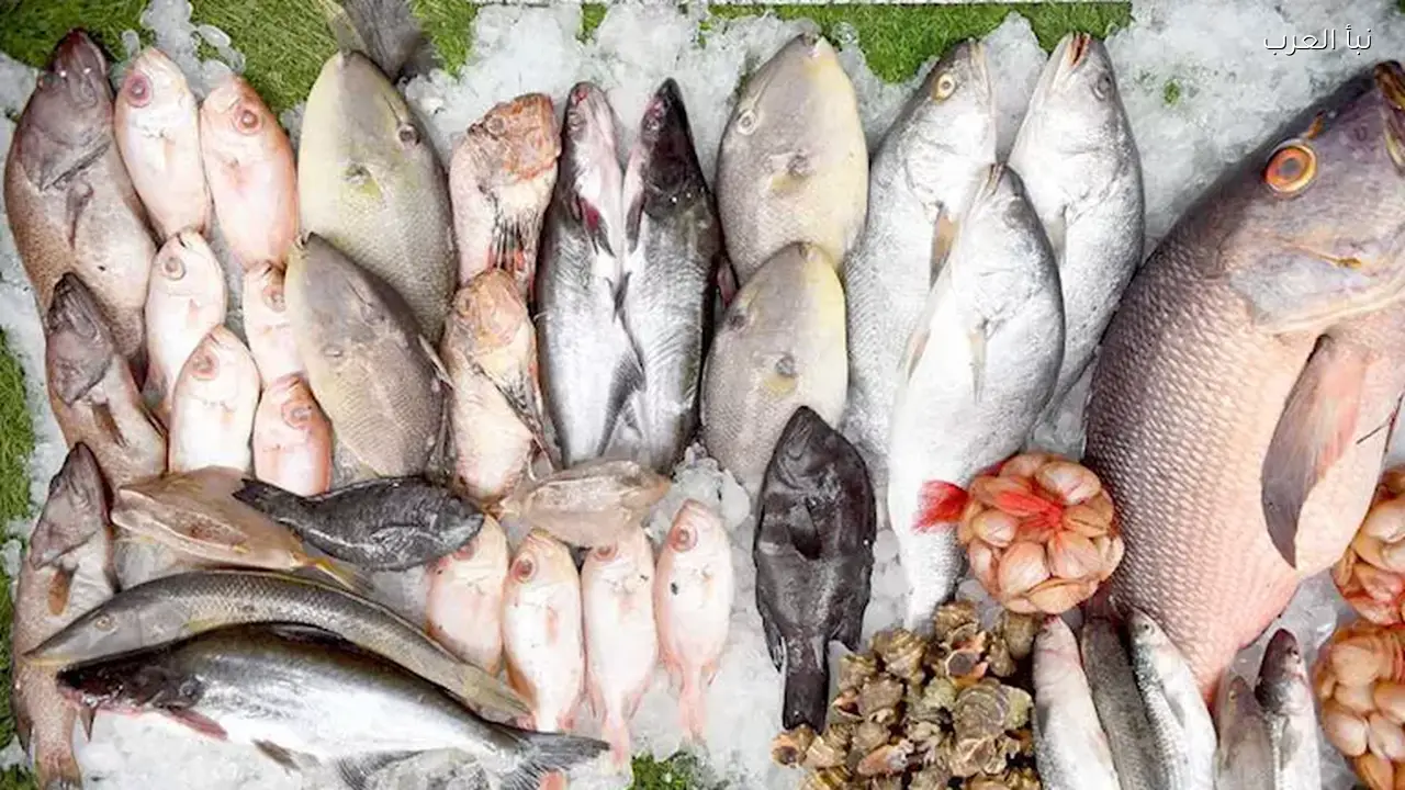 أسعار الأسماك والمأكولات البحرية اليوم في سوق العبور