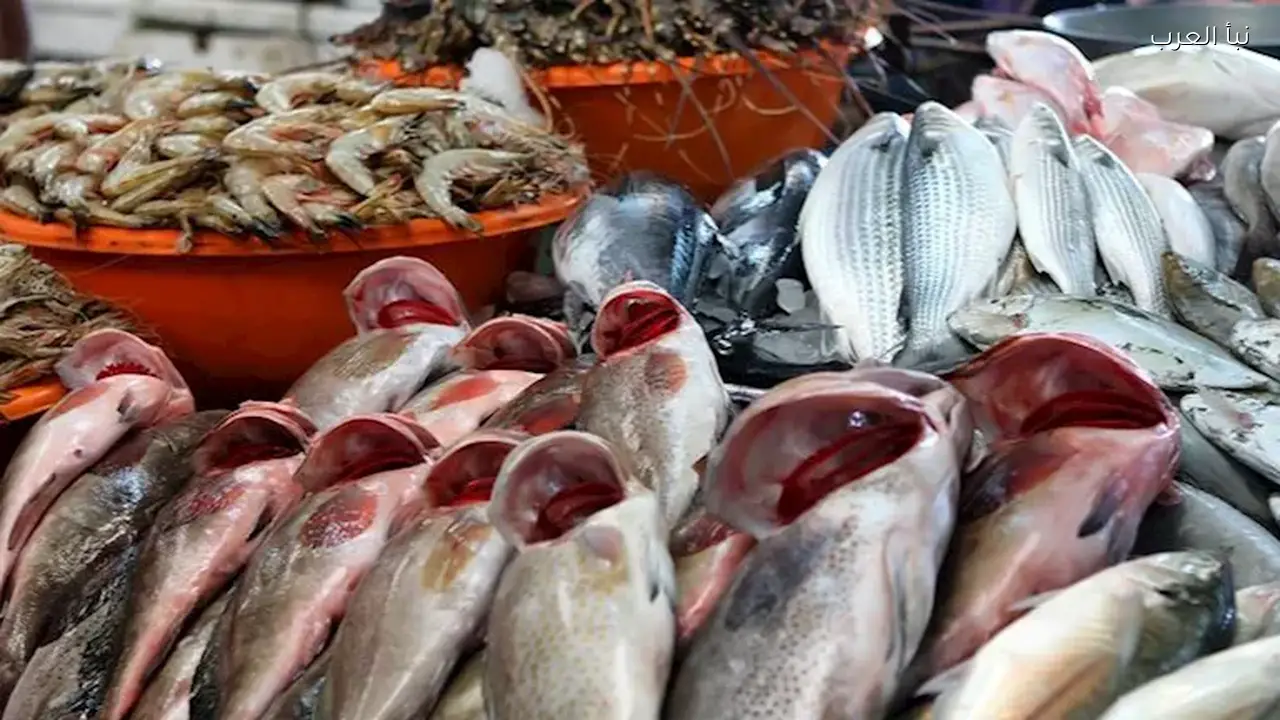 أسعار الأسماك والمأكولات البحرية اليوم في سوق العبور