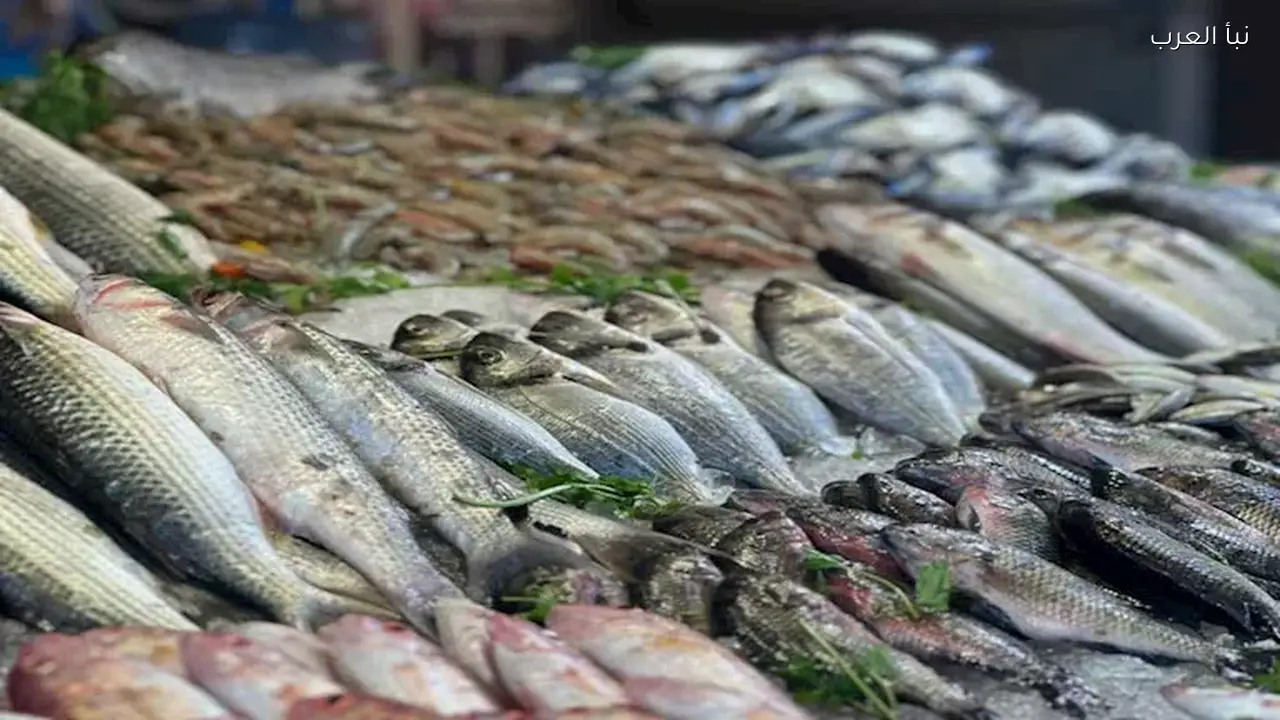أسعار الأسماك ترتفع 20% في الأسواق اليوم