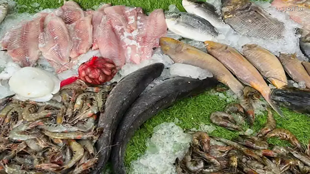 أسعار الأسماك والمأكولات البحرية اليوم في سوق العبور