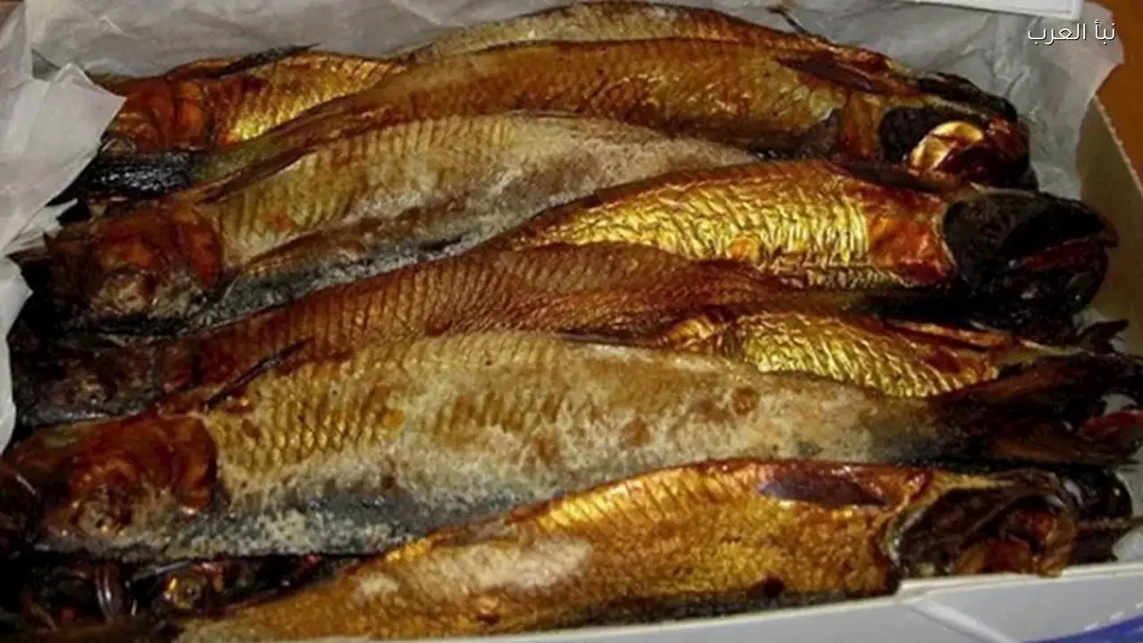 أسعار الرنجة والفسيخ اليوم في 4 سلاسل تجارية قبل عيد الفطر