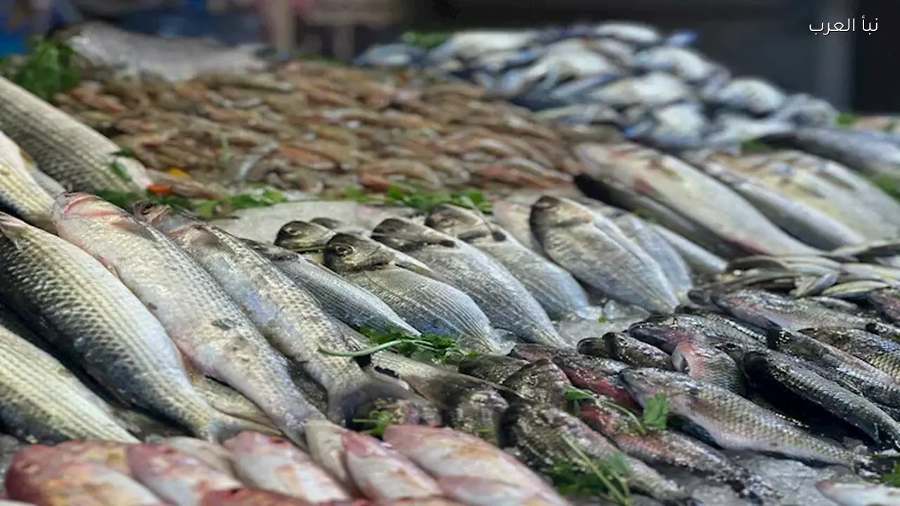 أسعار السمك اليوم الاثنين: البلطي بسعر كذا في الأسواق