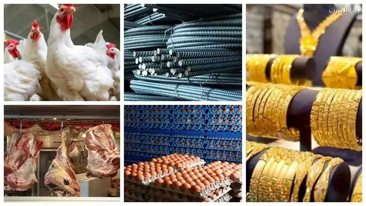 أسعار الطماطم والدواجن والحديد تنخفض اليوم وارتفاع الذهب
