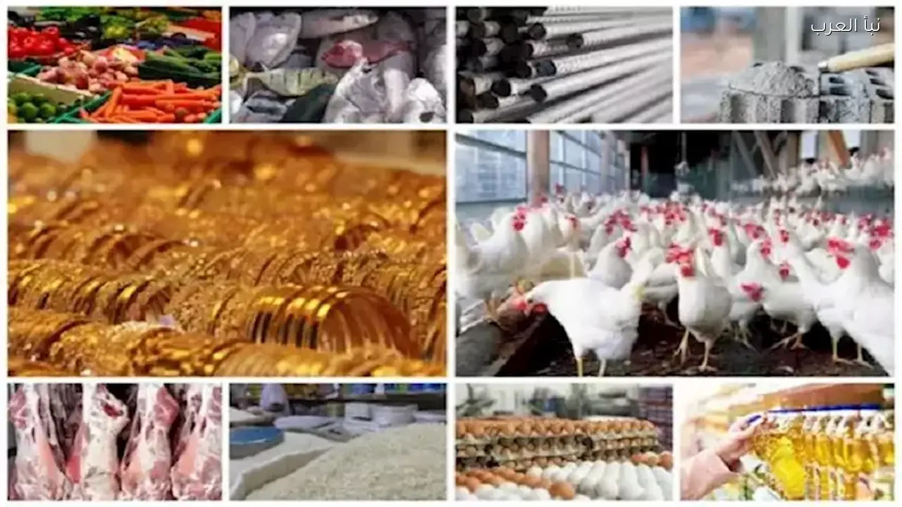 أسعار الفول والدقيق واللحوم والذهب اليوم ترتفع