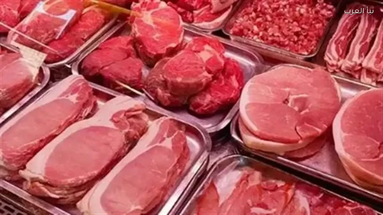 أسعار اللحوم تبدأ من 280 جنيهًا للكيلو في منافذ وطنية والزراعة