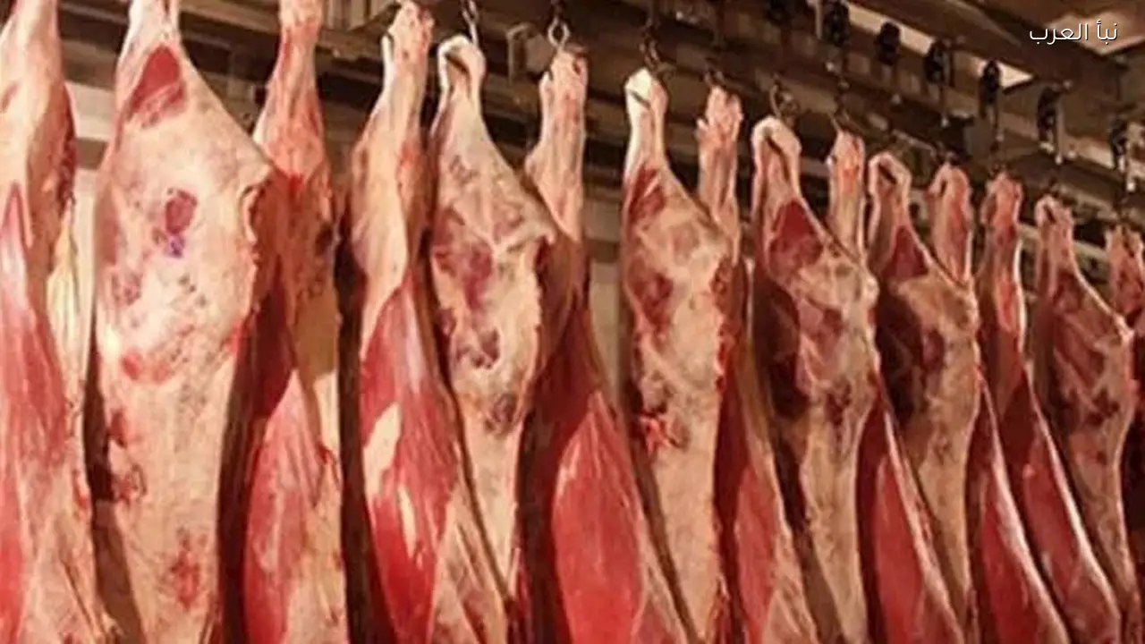 أسعار اللحوم والبيض واللبن السائب تنخفض اليوم بالأسواق
