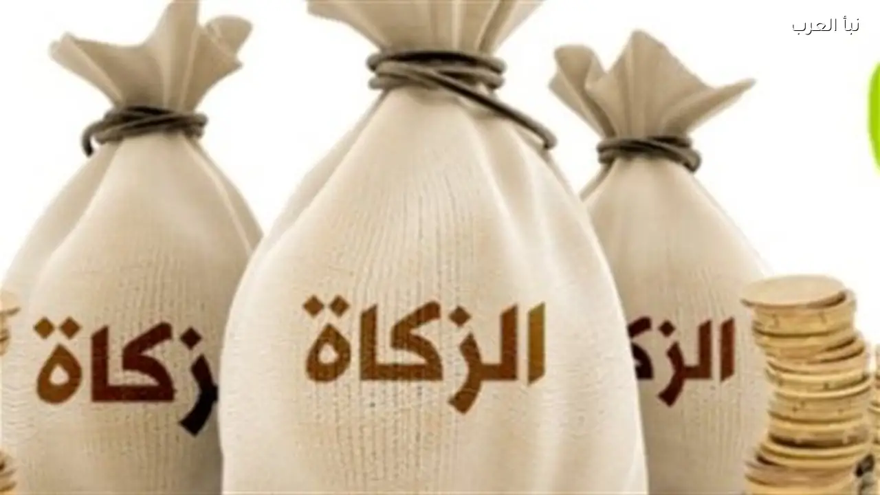 الإفتاء توضح سبب إخراج الزكاة “نقدًا” في مذهب أبي حنيفة