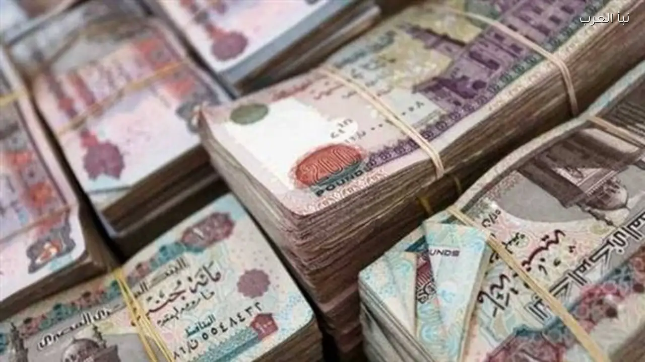 التضامن الاجتماعي تعلن جاهزية منافذ الصرف لأصحاب المعاشات اليوم