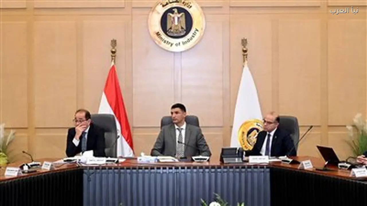 الحكومة تعلن اليوم عن حوافز جديدة لصناعة السيارات