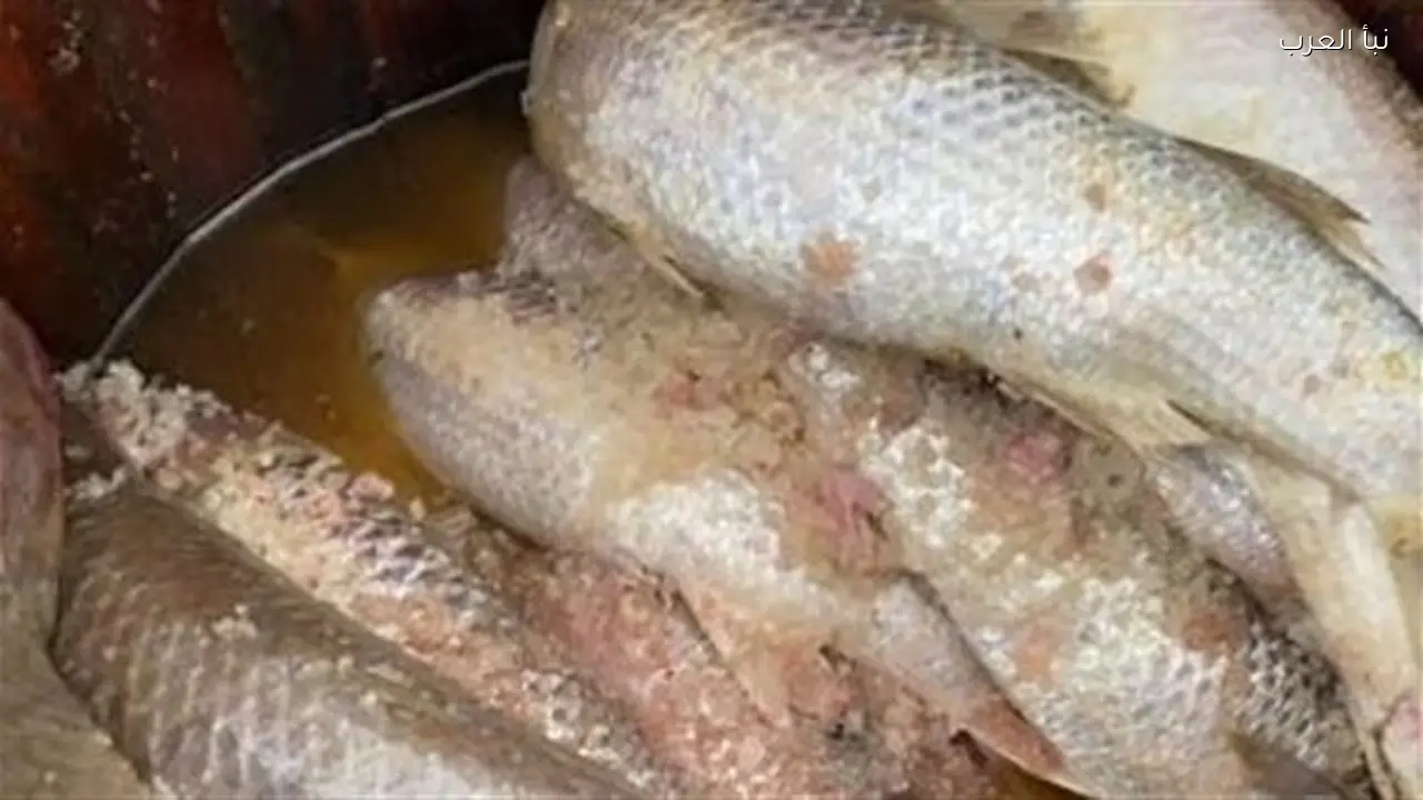 الفئات الممنوعة من تناول الفسيخ والأسماك المملحة في العيد