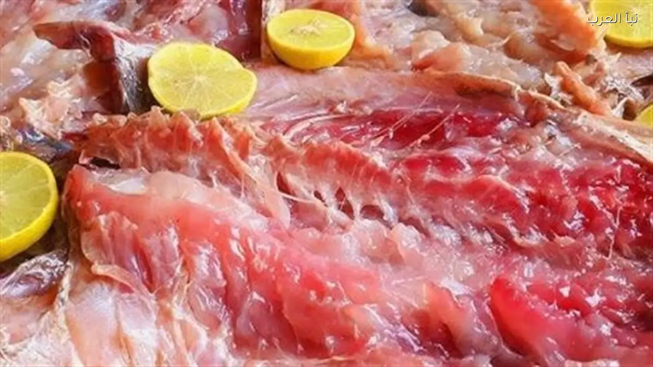 الفسيخ وتأثيره على احتباس السوائل وضغط الدم قبل موسم الأعياد