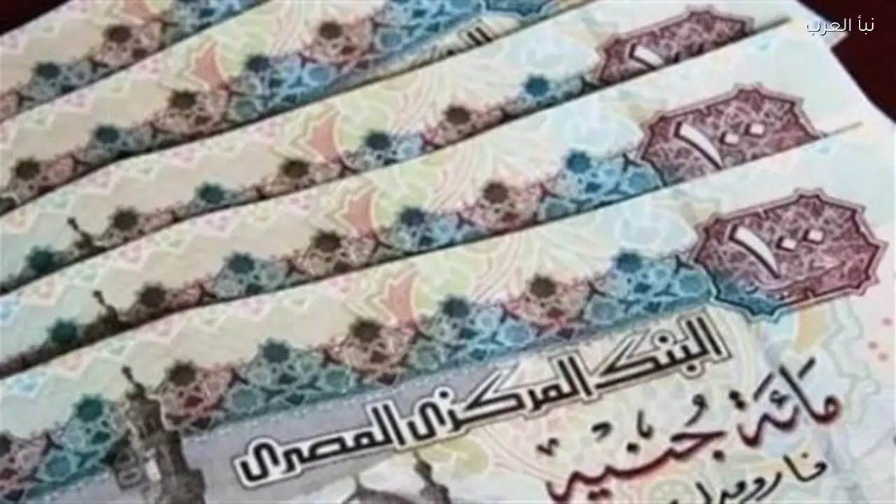 المالية تنهي تنسيقها مع الوحدات الحسابية لتسريع مستحقات العاملين بالدولة