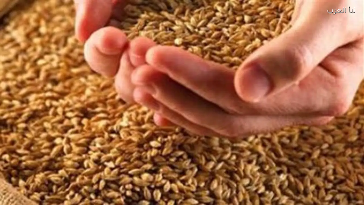 المصارف الثمانية لزكاة الفطر لعام 1447 هجريًا وتوزيعها على الفقراء والغارمين