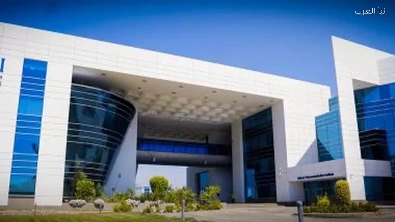 الهيئة القومية للاتصالات تطلق اليوم برنامج «سفراء الذكاء الاصطناعي» الجديد