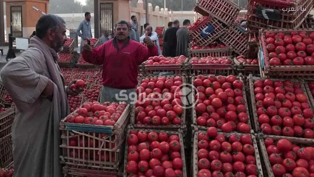 انخفاض أسعار الطماطم اليوم حتى شم النسيم حسب شعبة الخضروات