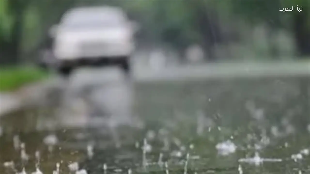 تحذيرات اليوم من الشبورة المائية وفرص سقوط الأمطار الخفيفة في مناطق مختلفة