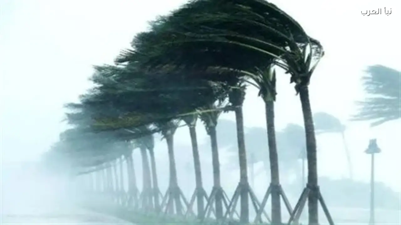 حالة الطقس اليوم الخميس: أجواء مشمسة في الصعيد وغائمة في القاهرة