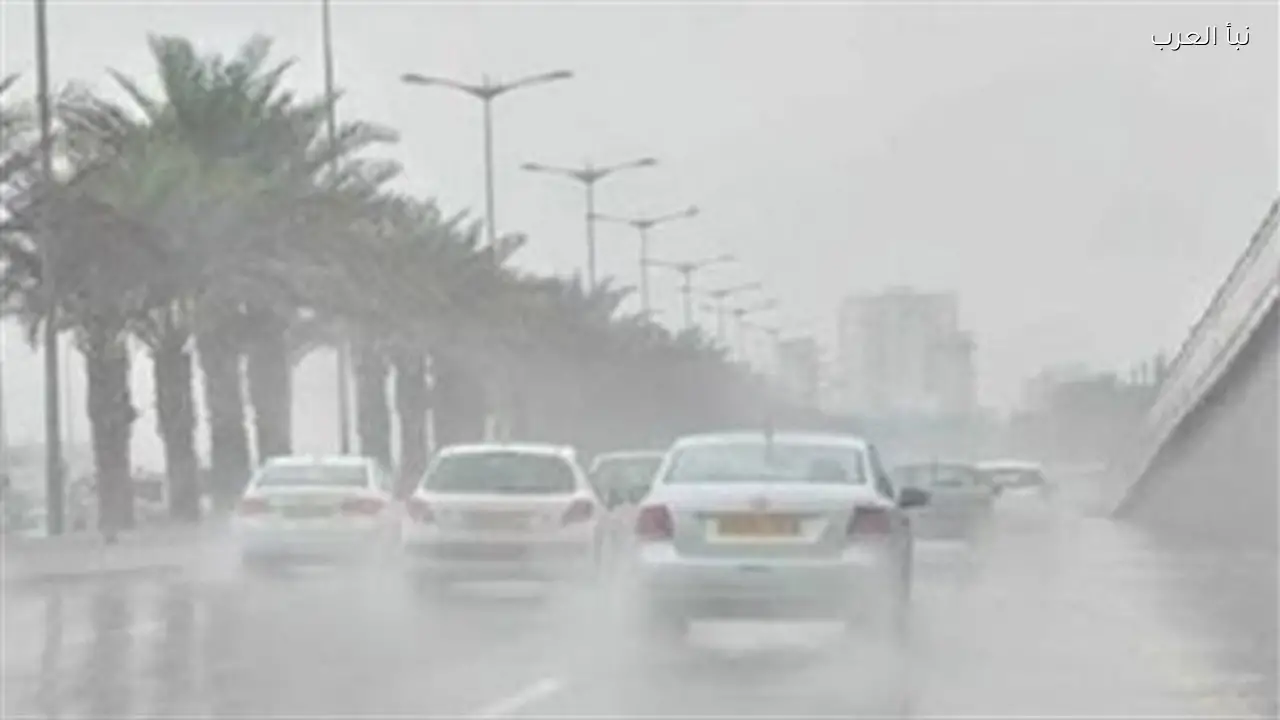 خريطة الظواهر الجوية: شبورة مائية تؤثر على الرؤية في الطرق السريعة حتى التاسعة صباحًا