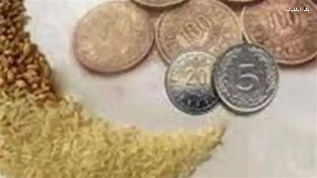 دار الإفتاء المصرية: 35 جنيهًا كافية لتقدير زكاة الفطر لمحدودي الدخل