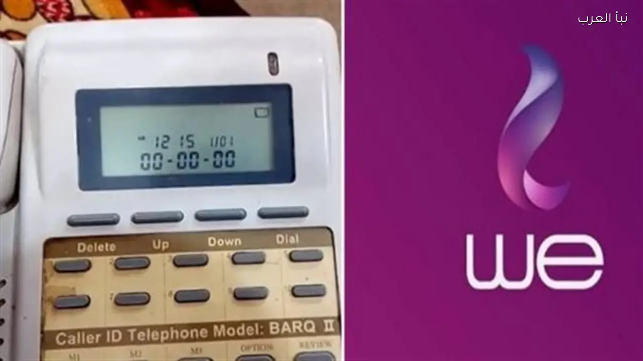 دفع فاتورة التليفون الأرضي من المنزل عبر تطبيق My WE وموقع الشركة