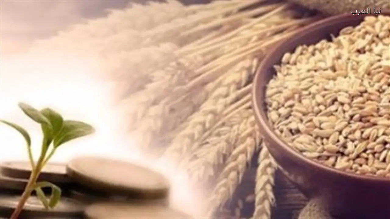 دليل زكاة الفطر 2026: الفئات المستحقة وأحكام إخراج القيمة