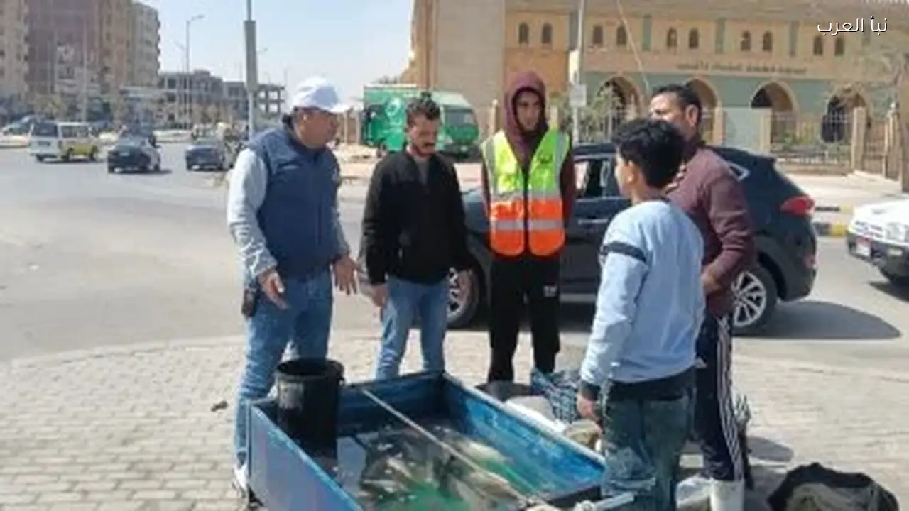 رفع كفاءة المحور المركزي الموازى في 6 أكتوبر لتحسين السيولة المرورية اليوم