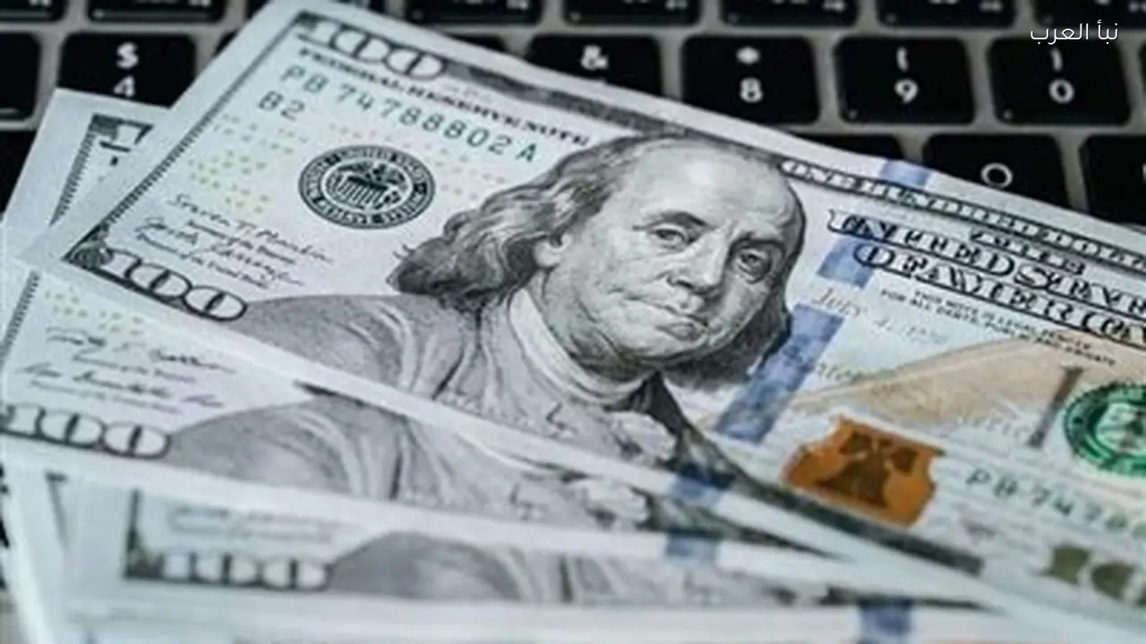 سعر الدولار مقابل الجنيه المصري يتجاوز 50 جنيه اليوم