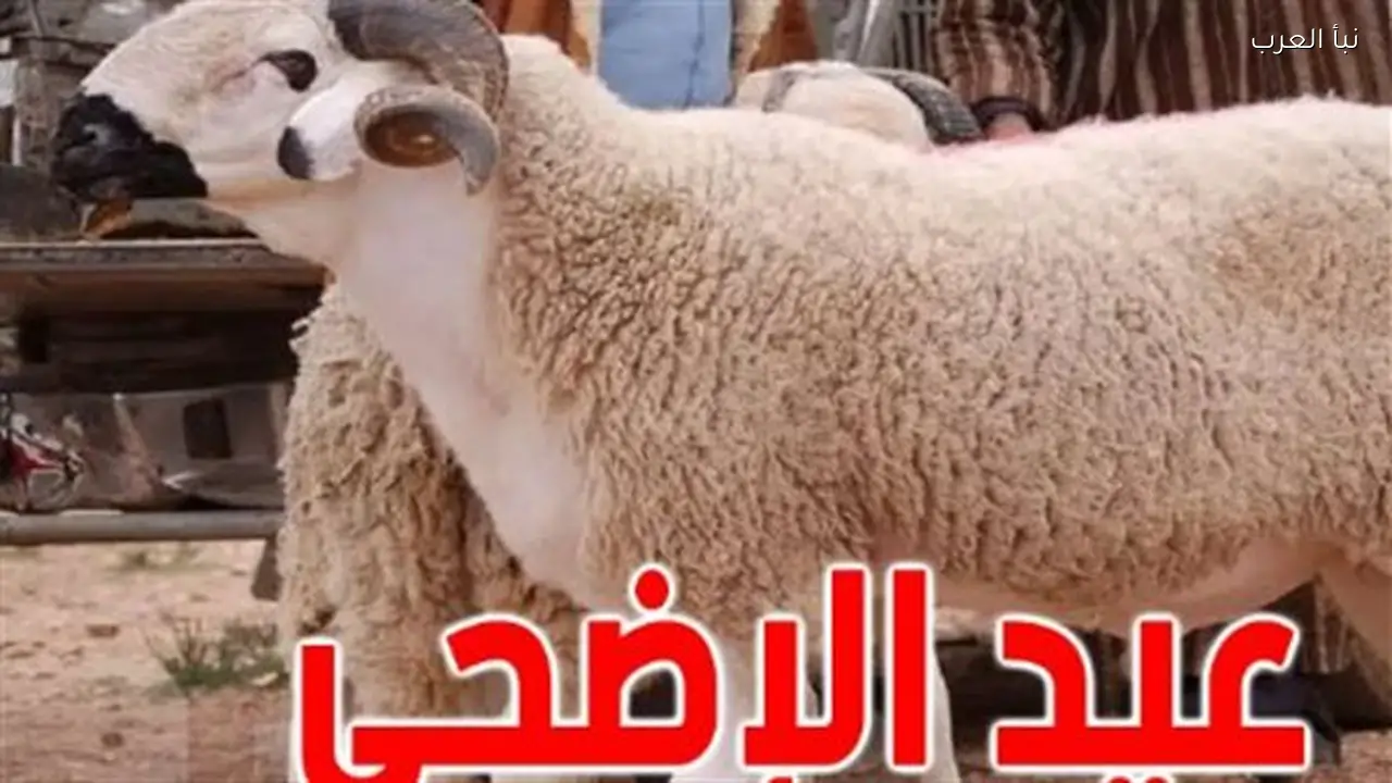 عيد الأضحى 2026: موعد الإجازة وعدد الأيام المتوقعة للموظفين