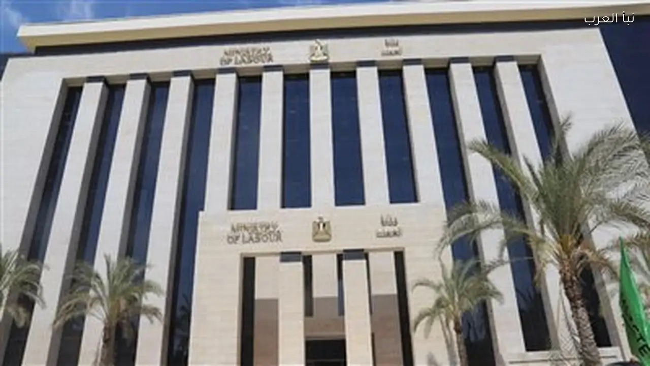 فرص عمل جديدة للشباب برواتب تصل إلى 20 ألف جنيه اليوم