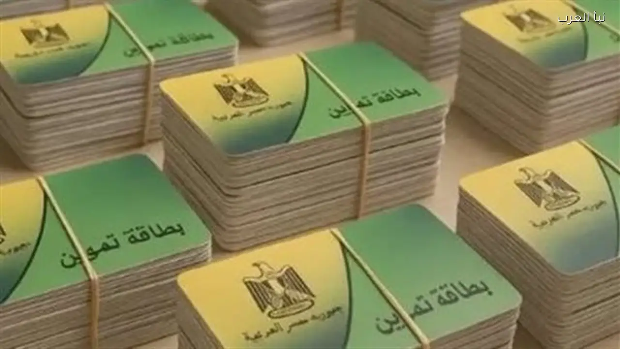 مصر الرقمية: خطوات ضم الأسرة والضوابط القانونية للخدمة