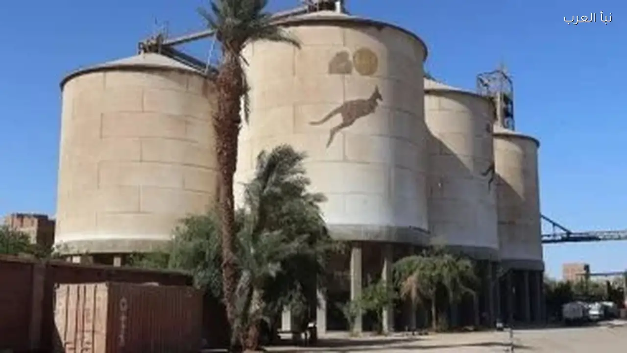 مطاحن مصر الوسطى ترد على تقرير المراقب بشأن المخلفات والتسجيل