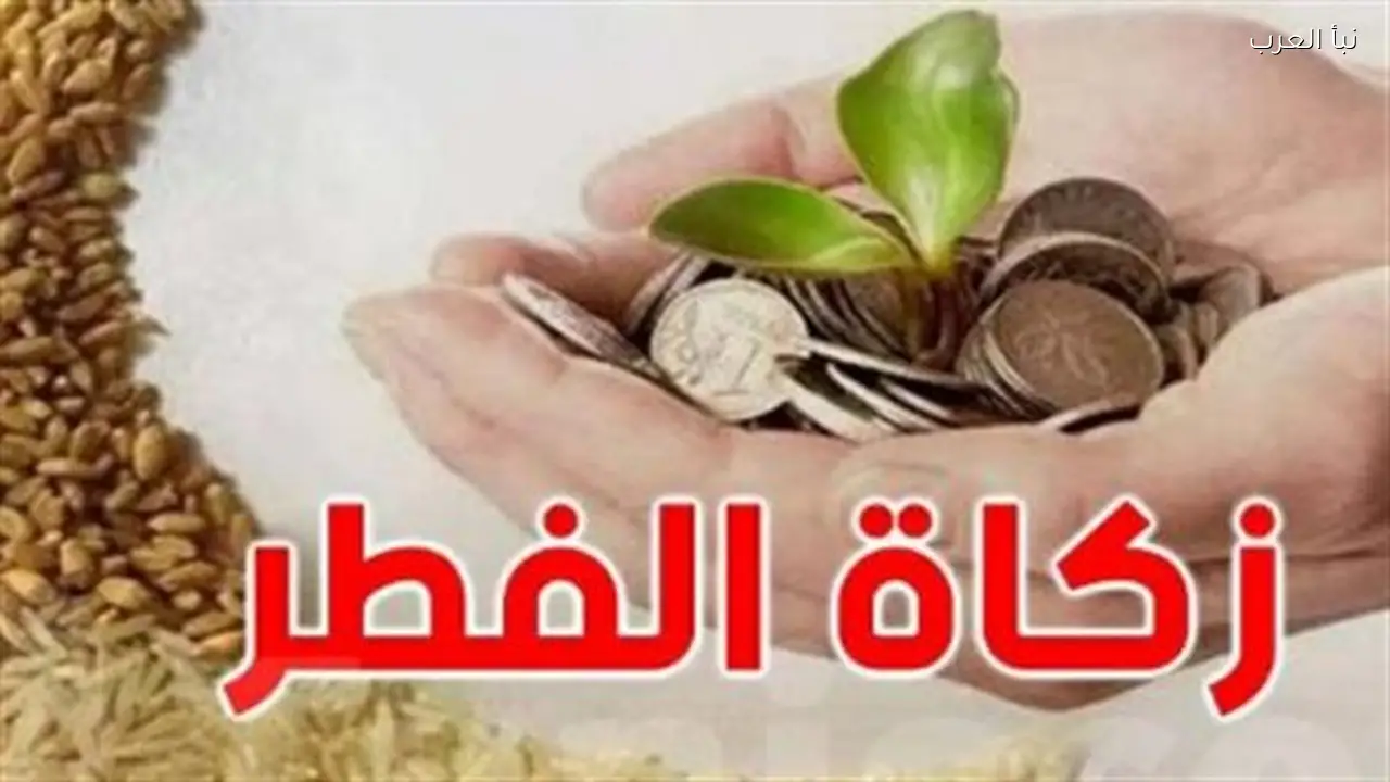 نظير عياد يحدد 35 جنيهًا لزكاة الفطر و30 جنيهًا للفدية تيسيرًا على المواطنين